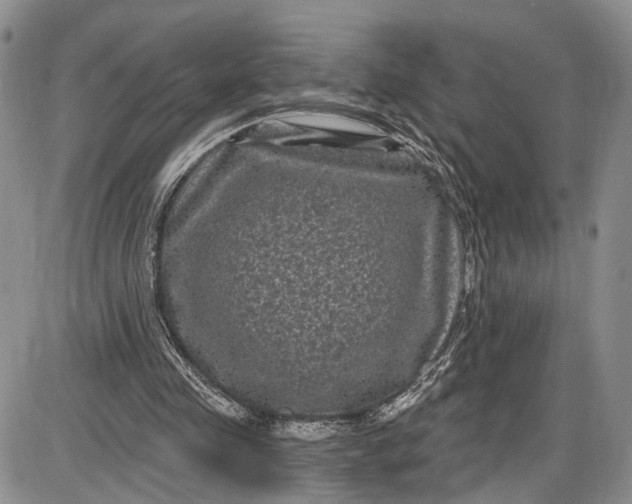 X0000085760341200703301433