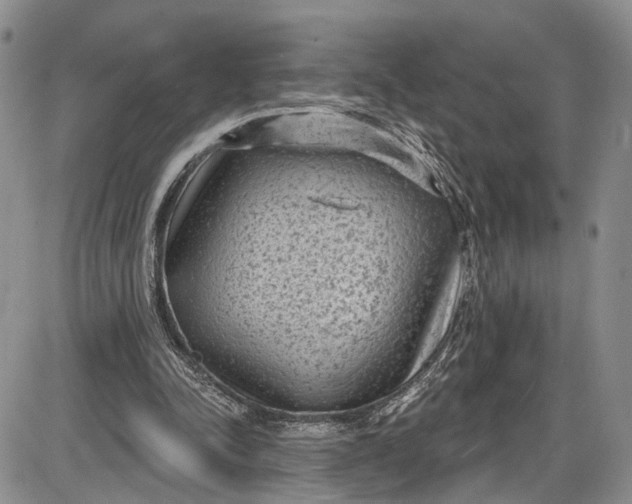 X0000085760342200703301434