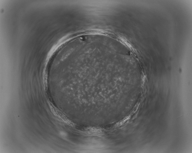 X0000085760343200703301434