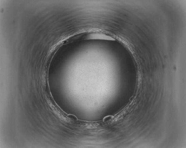 X0000085760345200703301434