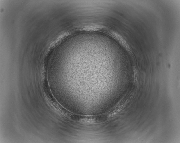 X0000085760354200703301434
