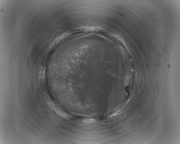 X0000085760357200703301434