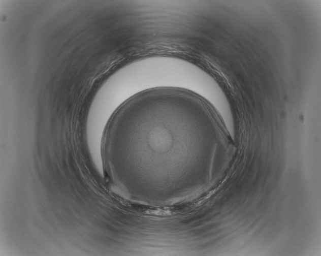 X0000085760362200703301434