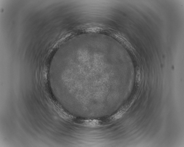 X0000085760363200703301434