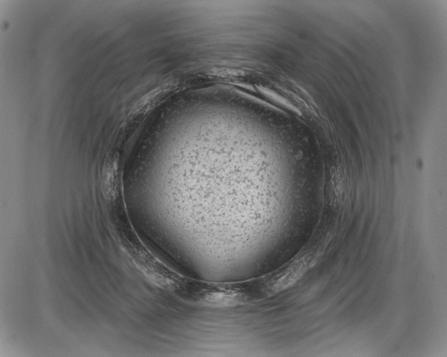 X0000085760364200703301434