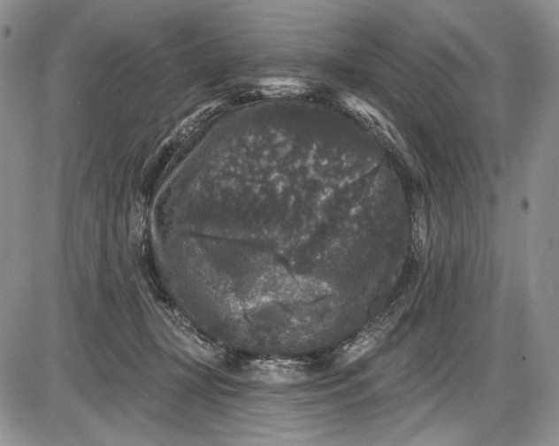 X0000085760367200703301434