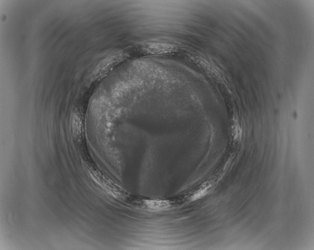 X0000085760371200703301434