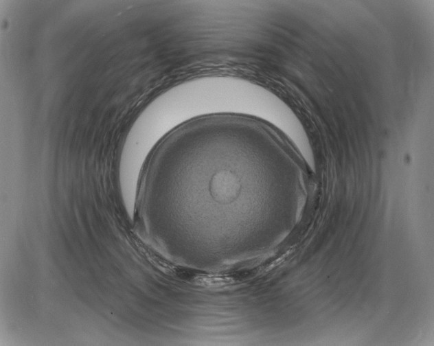 X0000085760372200703301434