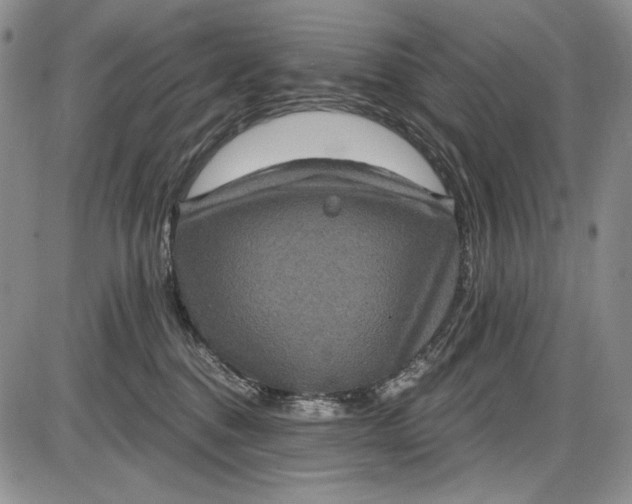 X0000085760376200703301434