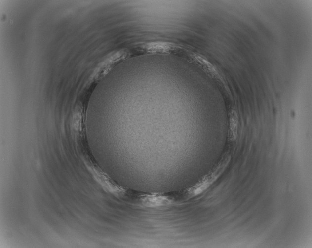 X0000085760379200703301434
