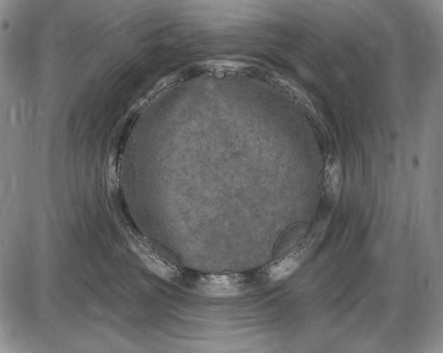 X0000085760381200703301434