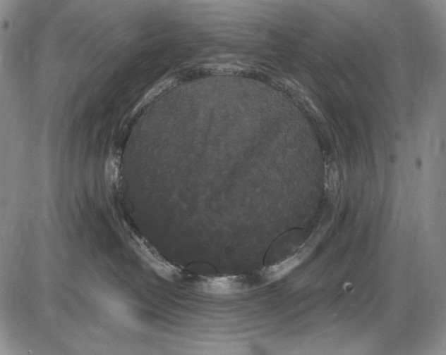 X0000085760382200703301434