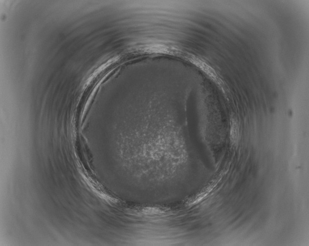 X0000085760390200703301433