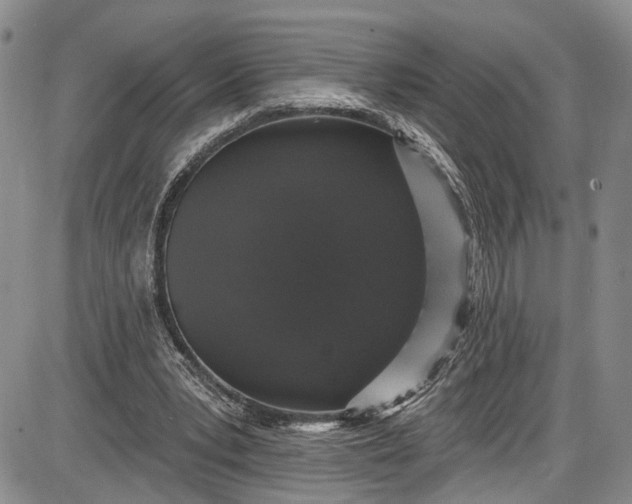 X0000085760391200703301433