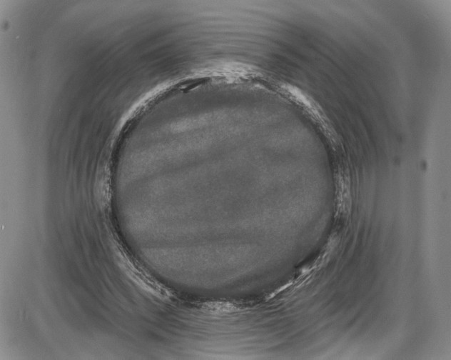 X0000085760392200703301433