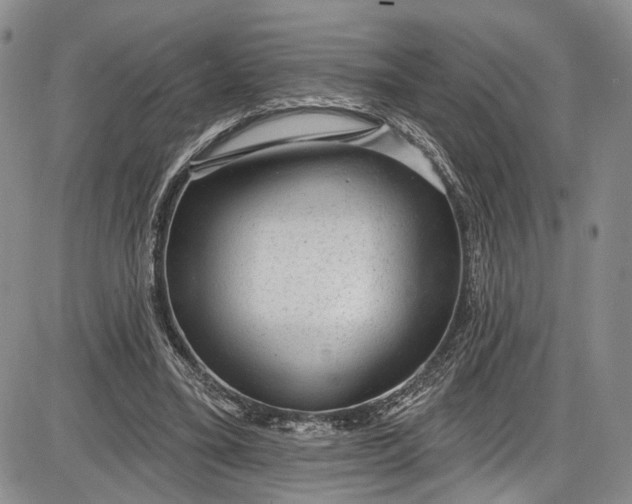 X0000085760395200703301433