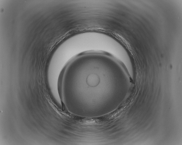 X0000085760405200703301433