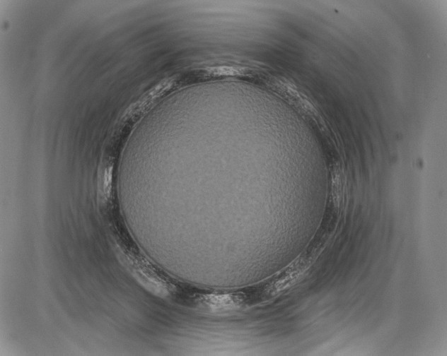 X0000085760406200703301433