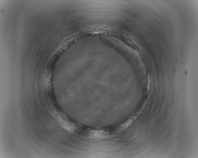 X0000085760408200703301433