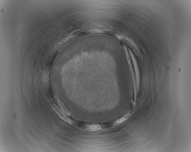 X0000085760409200703301433