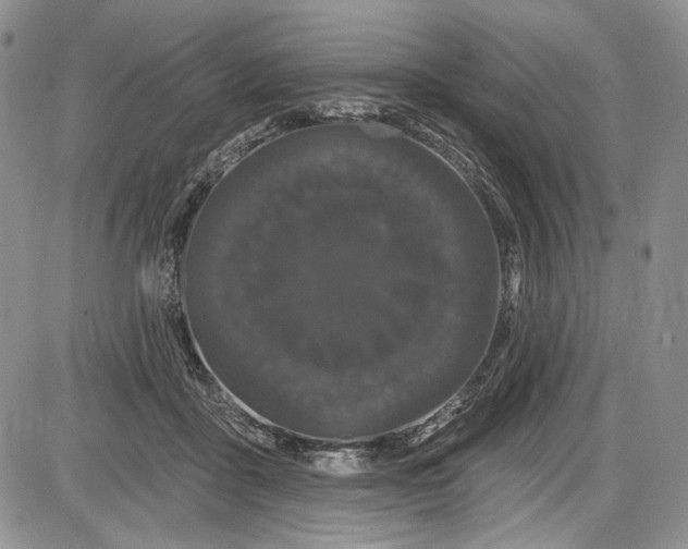 X0000085760411200703301433