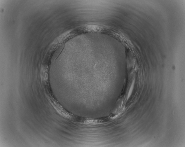 X0000085760413200703301433