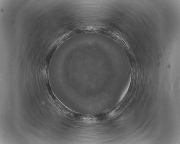 X0000085760415200703301433