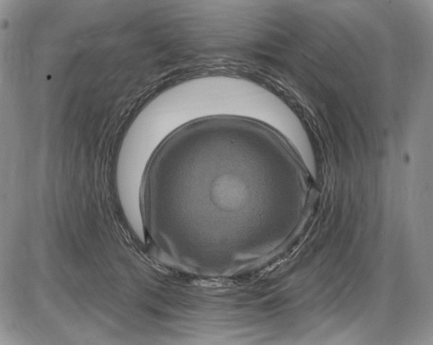 X0000085760417200703301433