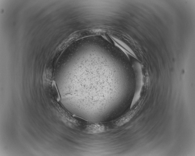 X0000085760421200703301433