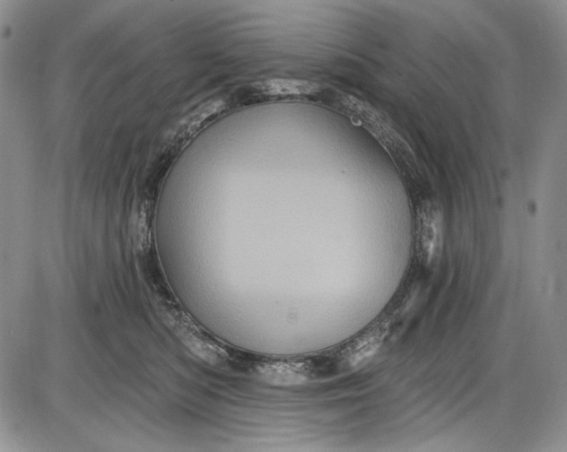 X0000085760422200703301433