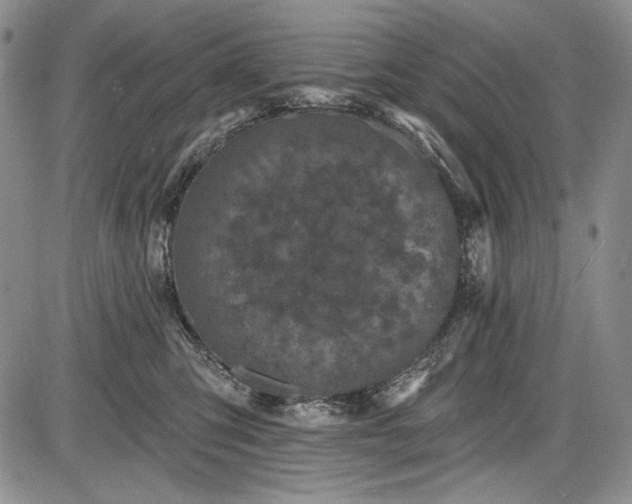 X0000085760423200703301433