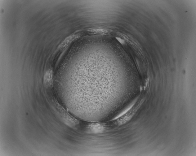 X0000085760425200703301433