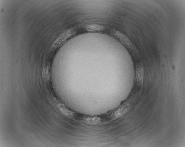 X0000085760426200703301433