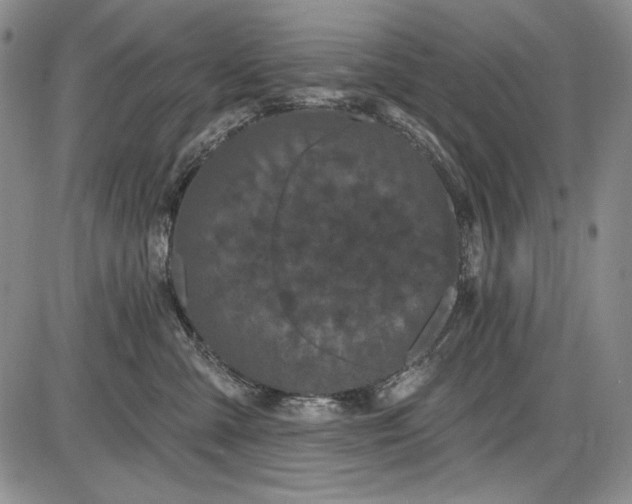 X0000085760427200703301433