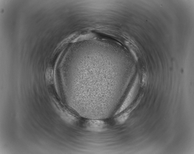 X0000085760429200703301433