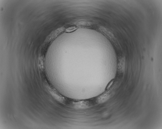 X0000085760430200703301433