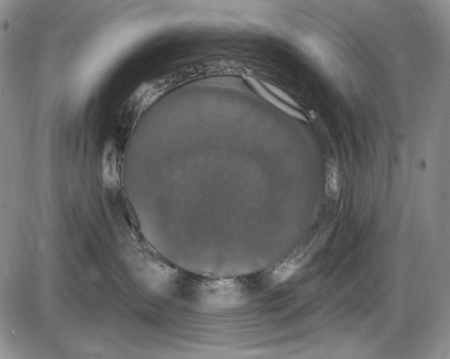X0000085760431200703301433