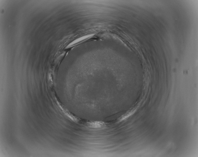 X0000085760432200703301433
