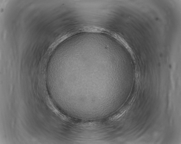 X0000085760433200703301432