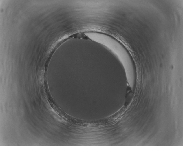 X0000085760434200703301432