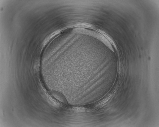 X0000085760437200703301432