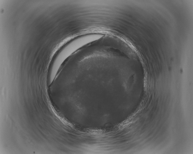 X0000085760438200703301432