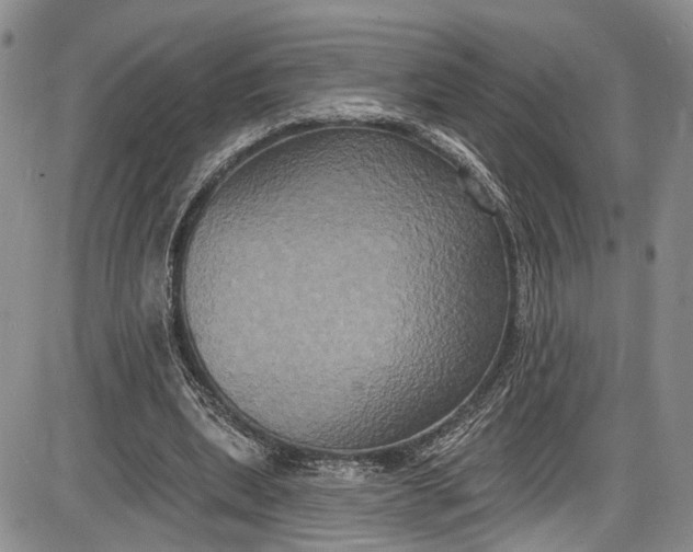 X0000085760439200703301432