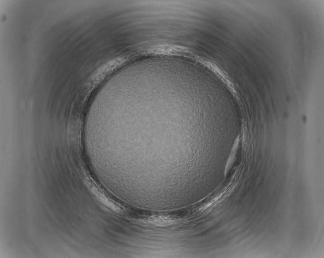 X0000085760445200703301432