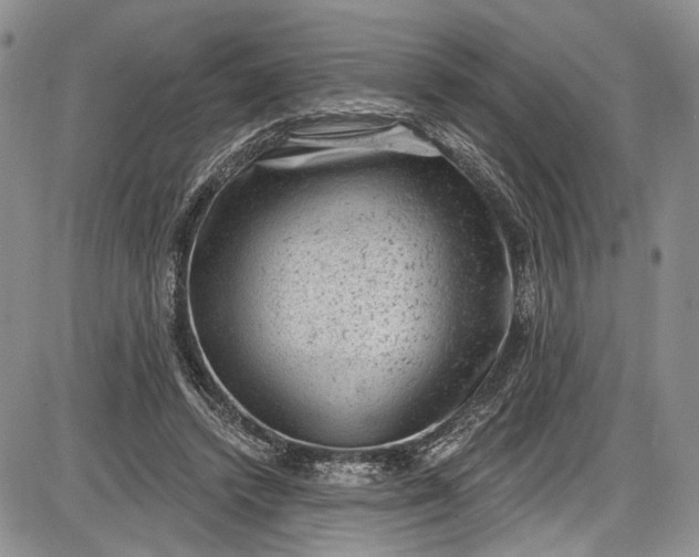 X0000085760448200703301432