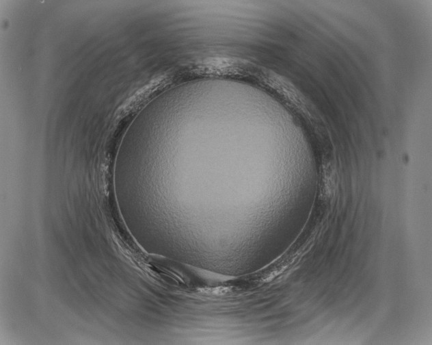 X0000085760450200703301432