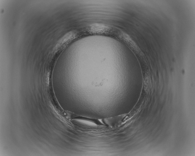 X0000085760454200703301432