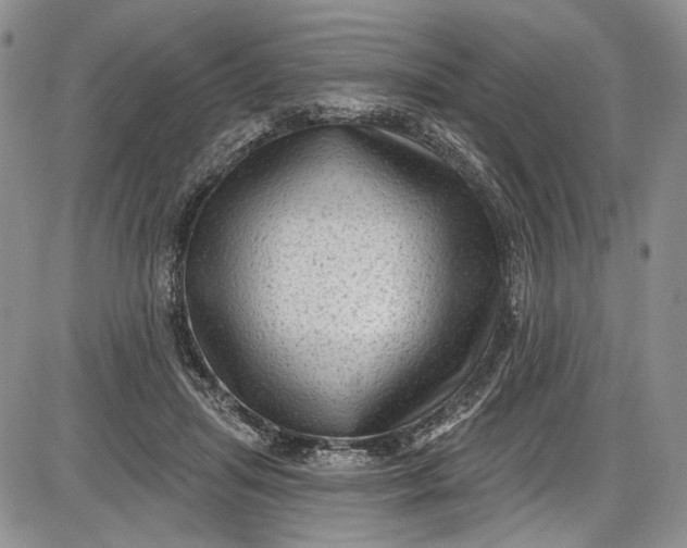 X0000085760455200703301432