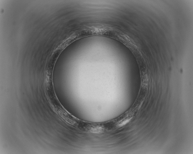 X0000085760456200703301432