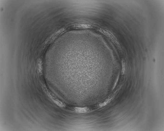 X0000085760457200703301432